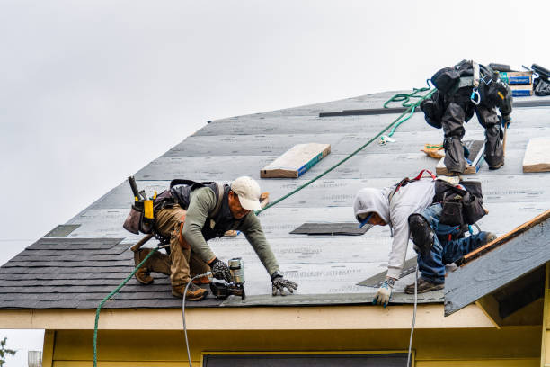 Professional Roofing technician working in Romulus, NY